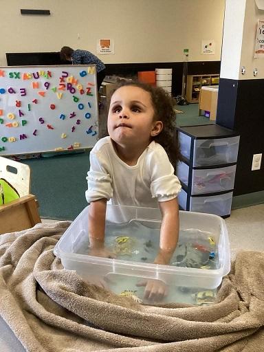 preschool girl with hands in a tub of water