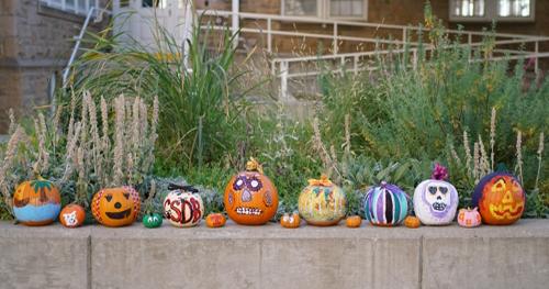 15 Pumpkins decorated with ribbon and paint lined up on concrete wall