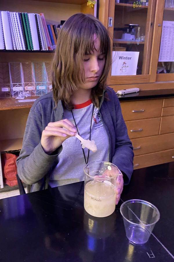 A student holding a stick with rock candy.