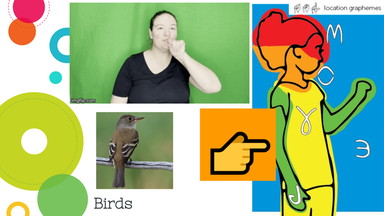 Collage of woman using ASL, a bird, and ASL location GIFs