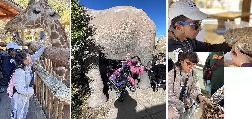 a girl stretches high to touch a giraffe's neck; lower center, two girls in wheelchairs travel under a life-size elephant sculpture; lower right, a boy touches a large hoof replica while a girl touches the shell of a live turtle.