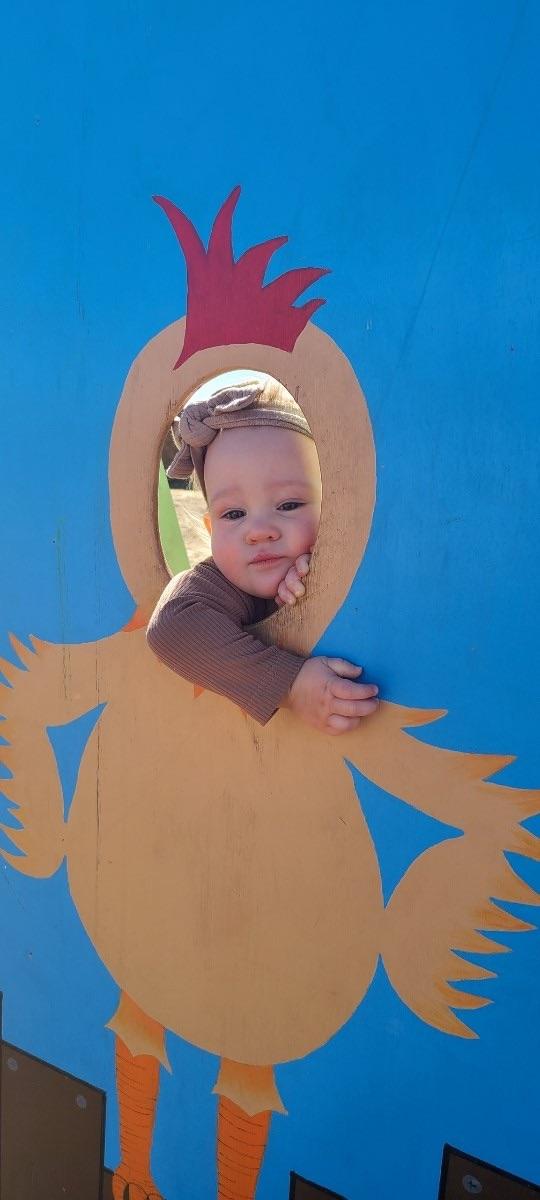 Toddler reaches her arm and head through a chicken cut-out board