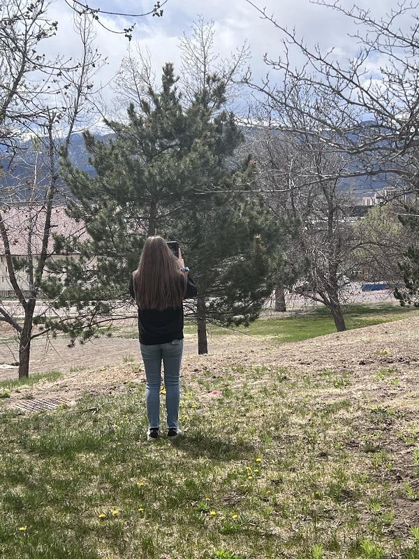 Girl takes photo of trees