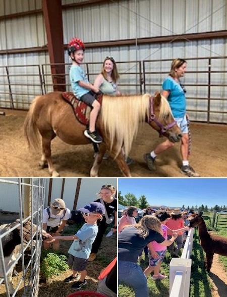 Top: child rides a horse in a rink with two ladies alongside;lower, families pet a llama and a goat