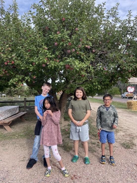 Four students stand in front of an apple tree.