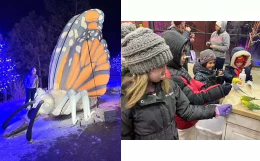 Left: student stands next to giant lighted butterfly; 4 students in outdoor wear focus on parakeets