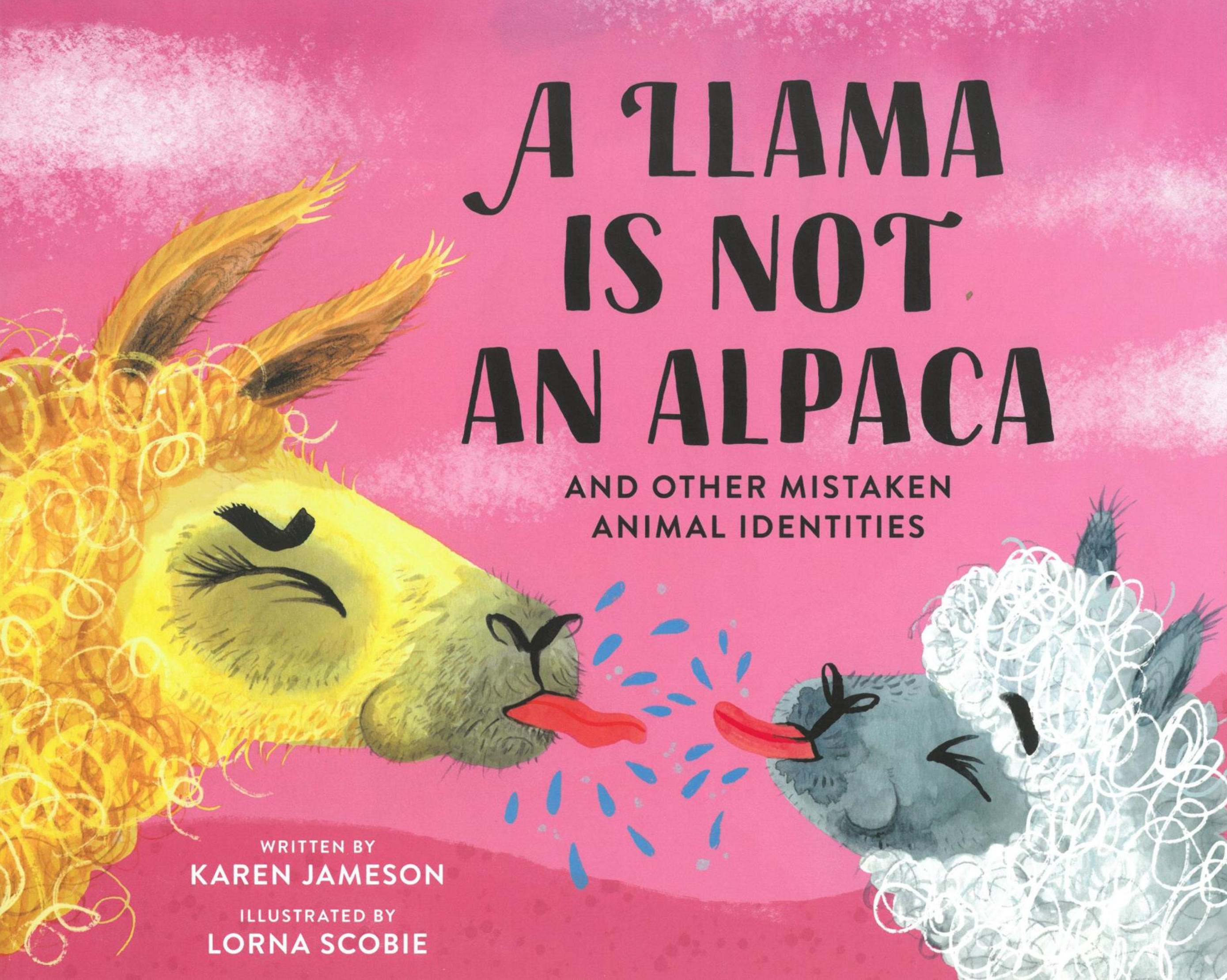 Pink Book Cover with a alpaca and a white llama, both sticking out their tounges.  , A Lllama is not an Alpaca and other mistaken Animal Identities. Written By Karen Jameson and Illustrated by Lorna Scobie.