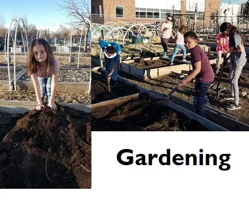 Collage: students working in gardening plots with hand tools