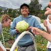 A student holds a newly harvest head of cabbage. 